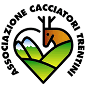 img_logo